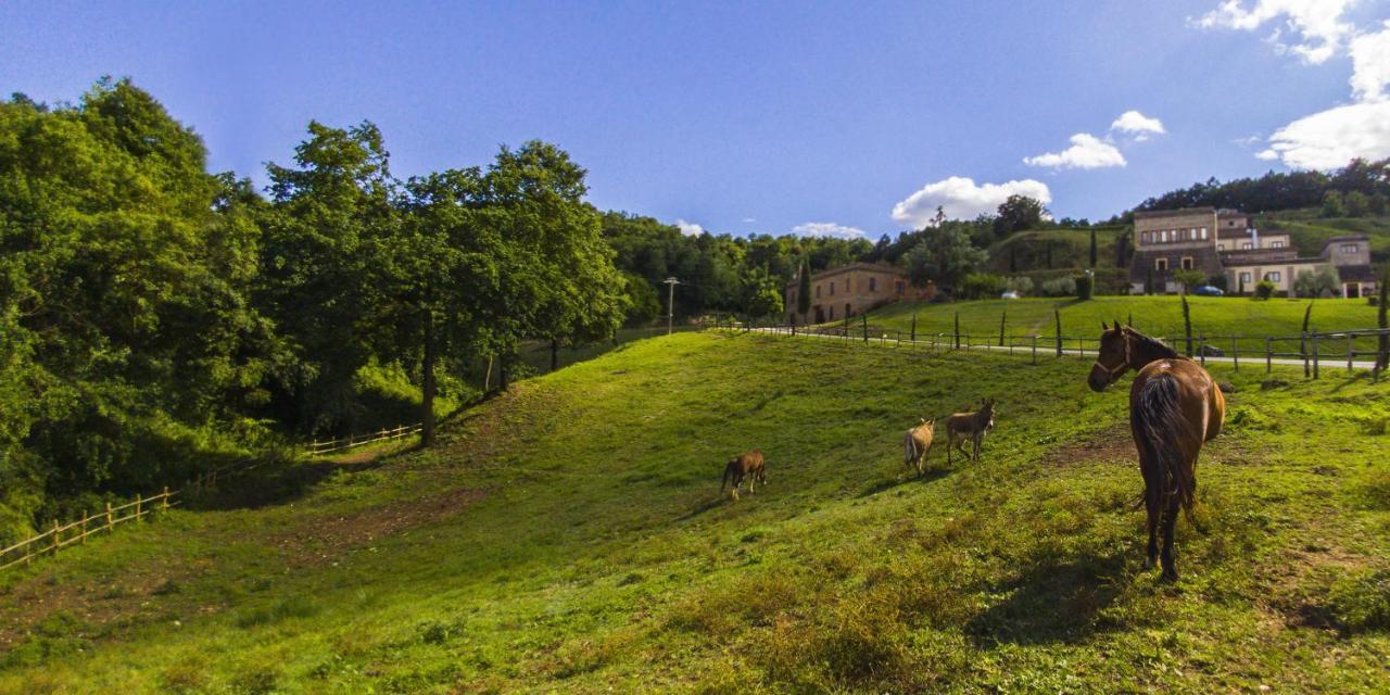 Agriturismo Rio Coverino Borghetto  Ngoại thất bức ảnh